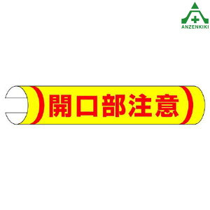 389-05 PǗp [W R^ JӣH SW pCvp PǎtW Pǃ|[p ݌ z