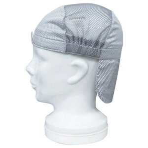 Ci[Lbvwbg (ls/ϕs)MǗ\h H MǑ΍ ƈ