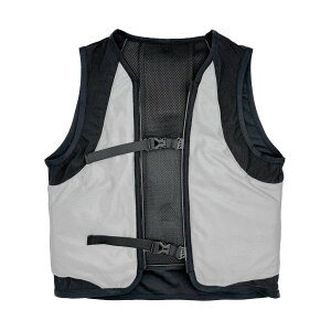 LX-HYG nChMAxXg(ls/ϕs)MǗ\h H MǑ΍ ƈ y CMp