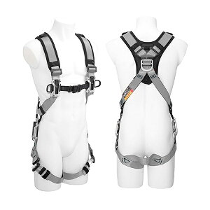 TJMZtn[lXA  A4SFAF-SI([J[/ϕs)ė~p tn[lX ėh~ ^W}