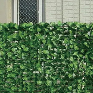 [teBXEn[h(oh16{t)1000×2000 ([J[/ϕs)tFCNO[ H  ډB