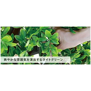 [tfR[V ExpandCgO[(LktFX)([J[/ϕs)tFCNO[ H 