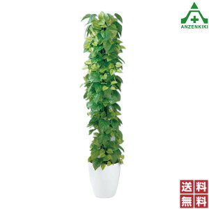 ԃO[(c[) C|gX 935-63 ([J[/ϕs)C[WAbv t[v^[ tFCNO[ Xܑ A ϗtA