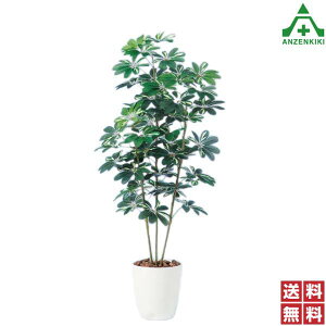 ԃO[(c[) VFt 935-64 ([J[/ϕs)C[WAbv t[v^[ tFCNO[ Xܑ A ϗtA