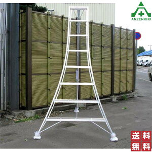 A~Or Vt 8 (259cm) (ls/ϕs)q nVS  