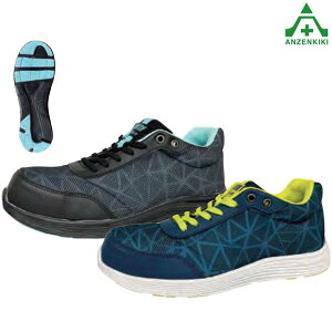 OiS SXj[J[ t@gCg FL-5000LC i24.5`28.0cm 3E)c JSAA L푊 SC jp ʋC Ռz