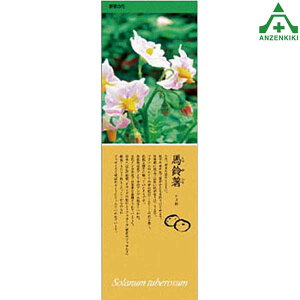 916-33 V[M[ (Ⴊ) ([J[/ϕs)H ͂p S|p tFXp C[WAbvXebJ[ ݌ z iϑ΍