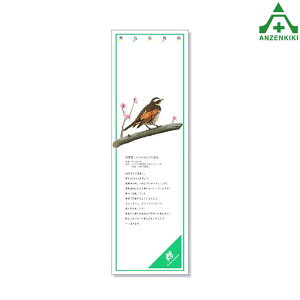 916-45 V[M[ (cO~) ([J[/ϕs)H ͂p S|p tFXp C[WAbvXebJ[ ݌ z iϑ΍