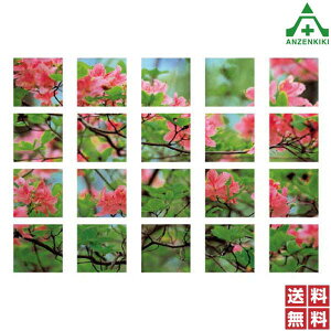 917-07 }`V[g (r[eBt AUA) ([J[/ϕs)H ͂p S|p tFXp C[WAbvXebJ[ ݌ z iϑ΍ 