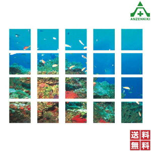 917-09 }`V[g (ĈȂ܂) ([J[/ϕs)H ͂p S|p tFXp C[WAbvXebJ[ ݌ z iϑ΍ 