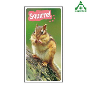 915-45 tHgWCV[ (t@j[Jpj[) ([J[/ϕs)H ͂p S|p tFXp C[WAbvXebJ[ ݌ z iϑ΍