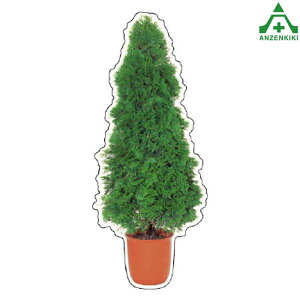 915-56 tHgWCV[ (c[eA) ([J[/ϕs)H ͂p S|p tFXp C[WAbvXebJ[ ݌ z iϑ΍