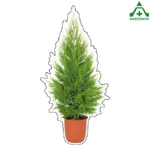 915-58 tHgWCV[ (c[eA) ([J[/ϕs)H ͂p S|p tFXp C[WAbvXebJ[ ݌ z iϑ΍