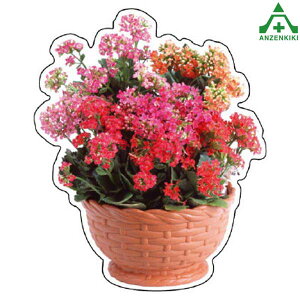 915-75 tHgWCV[ (t[oXPbg JRG) ([J[/ϕs)H ͂p S|p tFXp C[WAbvXebJ[ ݌ z iϑ΍