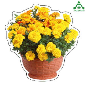 915-76 tHgWCV[ (t[oXPbg }[S[h) ([J[/ϕs)H ͂p S|p tFXp C[WAbvXebJ[ ݌ z i