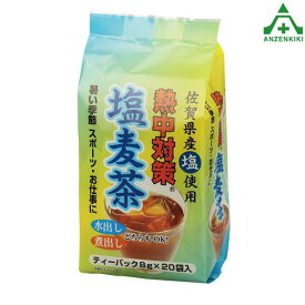 HO-88 塩麦茶 (1L用×20袋)ティーバック 塩分補給 水出し 煮出し 熱中症予防 工事現場 熱中症対策 作業員 塩分補給