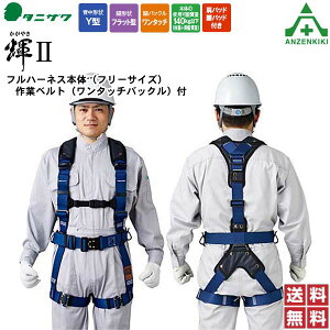 ^jU tn[lX PII ST#574AD-OT3 ([J[/ϕs)J򐻍쏊 VKi S ė~p 