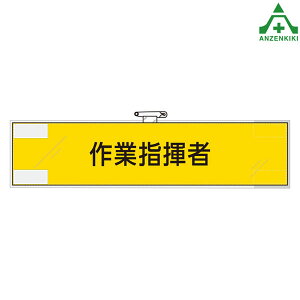 365-73 tFgr ƎwңE̘r ƊǗ֌Wr Ss }WbNe[v rj[Jo[