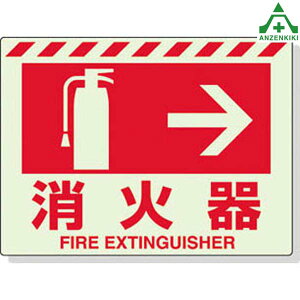 831-06 hW ~XebJ[ Ί큨 (225×300mm)Ηpi\ hpi hΕW