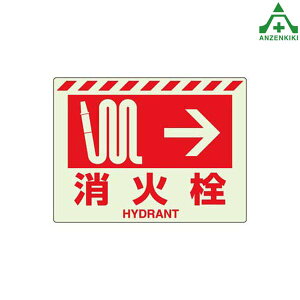 831-55 hW ~XebJ[ ΐ (225×300mm)Ηpi\ hpi hΕW