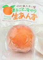 「国産　長野県産冷凍丸ごと生あんず10個セット無添加」生あんず低農薬栽培