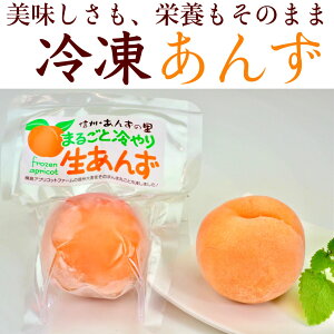 生 あんず フルーツの人気商品 通販 価格比較 価格 Com