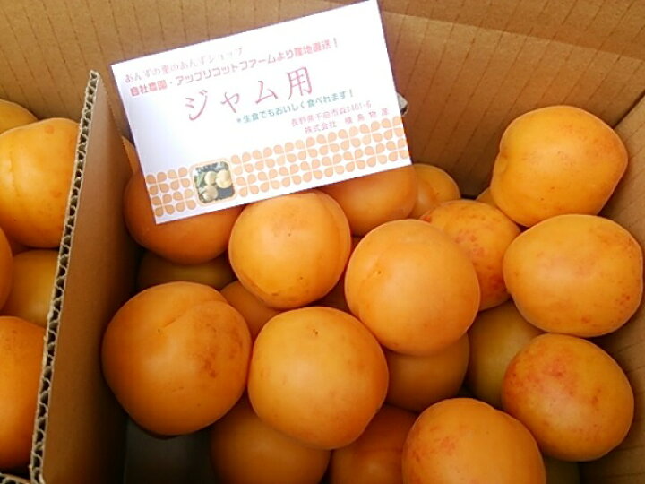楽天市場】【数量限定】訳あり生あんず 加工用（約2キロ）2024年 生育 