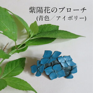   q u[` Y  ANZT[ fB[X Mtg ԃu[` ؐ h z F AWTC }AWTC 蕨 v[g LO a { `H|i H[