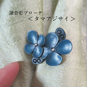 v[g   q u[`   Y  ANZT[ fB[X H[ AWTC z ^}AWTC 蕨 v[g a { `H|i ؐ ؒ 