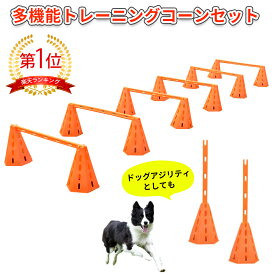 楽天市場 ハードル アジリティ 障害物競技 犬用品 ペット ペットグッズの通販