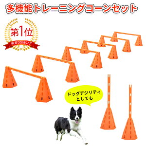 @\g[jOZbg QP Z g[jOɁI AWeBR[12 o[6{ hbO hbOAWeB ~jn[h Zbg