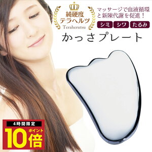 _P10{ 420^  v[gewcz H^ قꂢ C Cオ e  tFCX }bT[W  c{ N p[Xg[ VR {fB ނ XbL