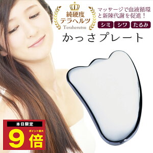 _Pő9{ 25I^  v[gewcz H^ قꂢ C Cオ e  tFCX }bT[W  c{ N p[Xg[ VR {fB ނ XbL