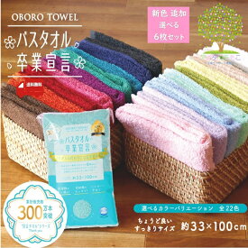 300円OFF”誰でも即使用可能クーポン” 新色追加 プレゼント 【 送料無料 バスタオル 卒業宣言 選べる 6枚セット 】 バスタオル卒業宣言 カラー カラータオル ホテル 仕様 コンパクト おしゃれ インテリア フェイスタオル ギフト 贈り物 ミニバスタオル 吸水 おぼろ 高品質