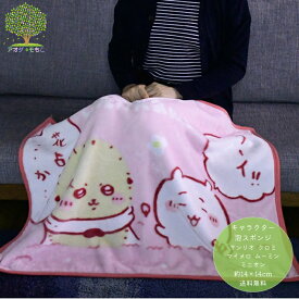 【最新柄 ちいかわ ひざ掛け 70×100cm ブランケット】 かわいい あったか ふわふわ 毛布 秋 冬 防寒 冷え防止 寒さ対策 ひざかけ 膝掛け お昼寝 キャラクター ハチワレ あたたかい プレゼント レディース 小学生 中学生 高校生 女子高生 ティーン 学校 車