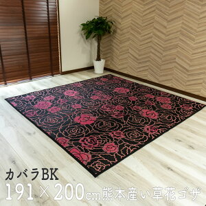 ėp O Ԃ  Jo bk ubN 2TCY 191×200 QSU O }bg J[ybg Y ~ ⊴ {   }bg }bg KN o xr[}bg Ԃ J