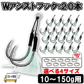 【楽天1位獲得!!】アシストフック ダブル 20本セット スプリットリング おまけ付 送料無料 ティンセル メタルジグ ショアジギング オフショア ライト SLJ 青物 根魚 ヒラメ シーバス S M L LL 10 20 30 40 60 80 100 150g 釣り針 フック 釣り ルアー 仕掛け コスパ