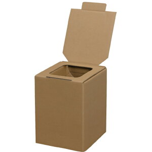 ACXI[}ij@IRIS@527194@ȈՃgC@BTS-250