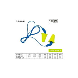 3M  X[G 3184001  E-A-R vbVCX@318|4001ihl31dBjЂt@h@@Ɨp 1g