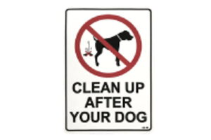 yAJG݁zXebJ[ySS-09zyAJzyUSAzyLN^[zyV[zy[zyG݁zyObYz