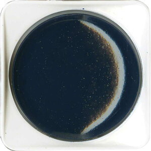 y| ʐ[zGyʁzy[zyG݁zyObYz