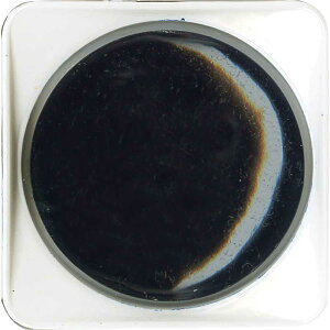 yz y| ʐ[zGyʁzy[zyG݁zyObYz