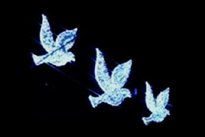 C~l[V@ngC~l[VzCg@ng@@Aj}@@ʁ@Ǌ|@P@d@LED@`[t@NX}X@킢