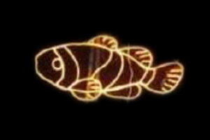 C~l[V@C~l[VCG[@N}m~@@Aj}@@ʁ@Ǌ|@P@d@LED@`[t@NX}X@킢