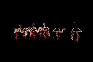 C~l[V@t~SC~l[VsN@t~S@@Aj}@@ʁ@Ǌ|@P@d@LED@`[t@NX}X@킢