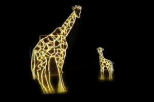 C~l[V@LC~l[VCG[@L@Aj}@@ʁ@Ǌ|@P@d@LED@`[t@NX}X@킢