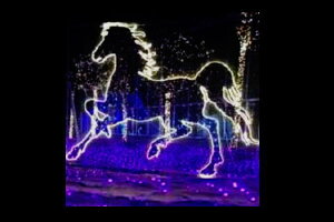 C~l[V@E}C~l[VzCg@n@ʁ@Ǌ|@P@d@LED@`[t@NX}X@킢@