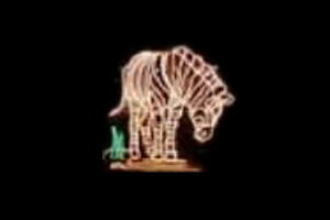 C~l[V@V}E}C~l[VIW@V}E}@Aj}@@ʁ@Ǌ|@P@d@LED@`[t@NX}X@킢