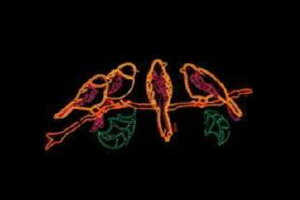 C~l[V@C~l[VuE@@Aj}@@ʁ@Ǌ|@P@d@LED@`[t@NX}X@킢@