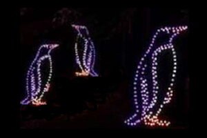 C~l[V@yMC~l[Vu[@yM@Aj}@@ʁ@Ǌ|@P@d@LED@`[t@NX}X@킢